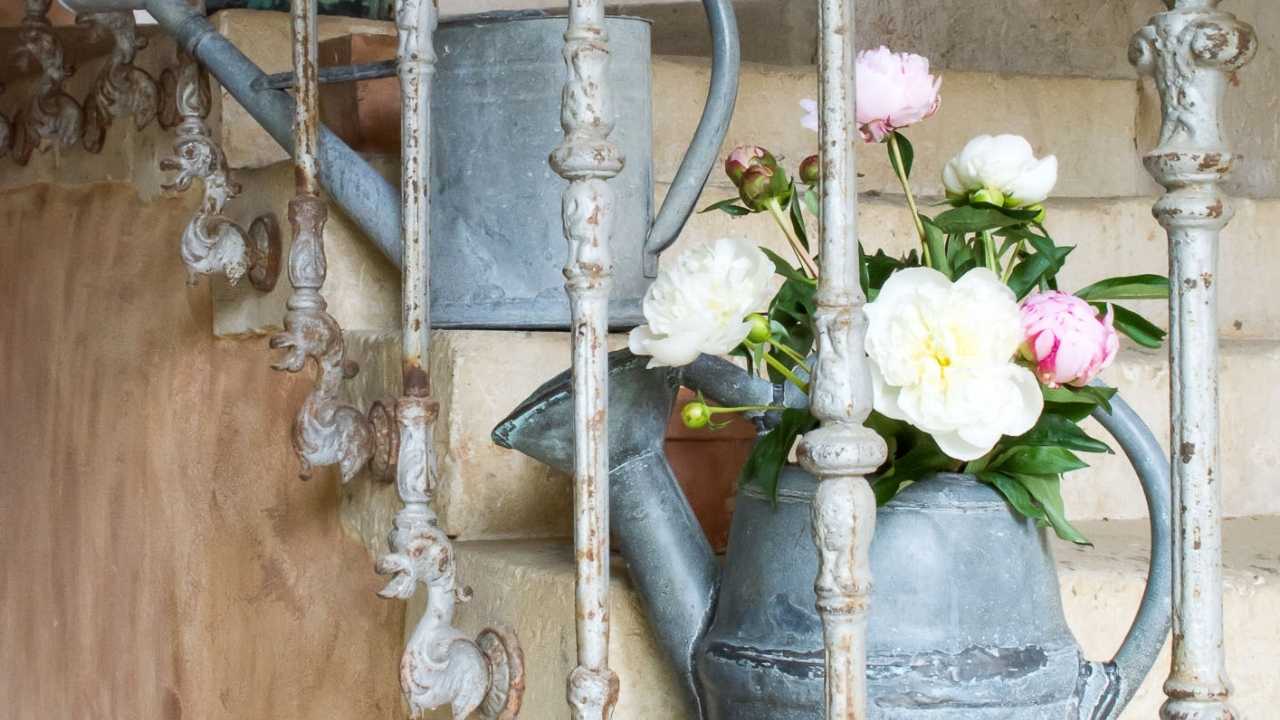 Rustic Antique French Watering Cans