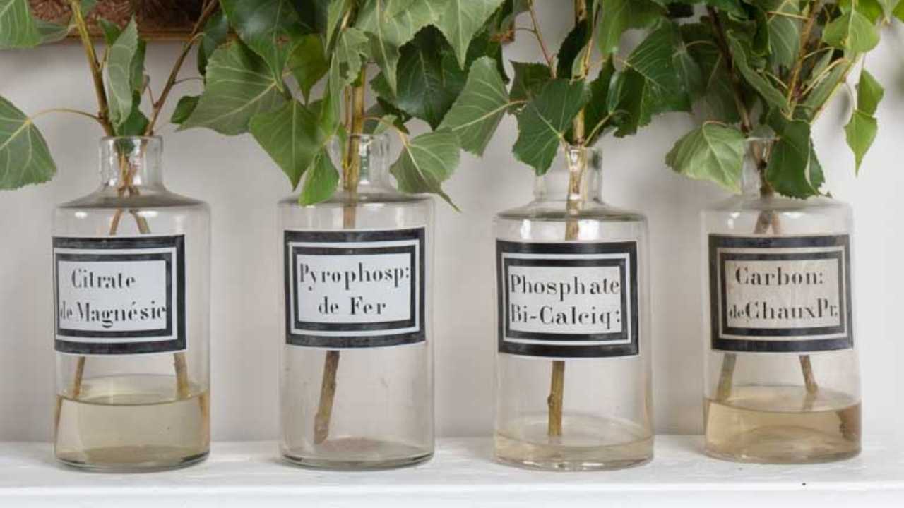 Antique French Glass Bottles & Jars