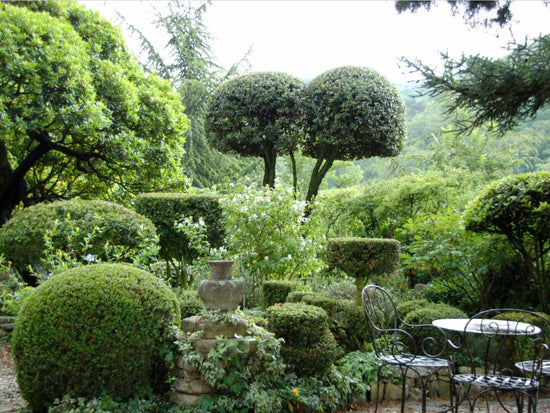 Meander through le jardin de la Louve in Bonnieux