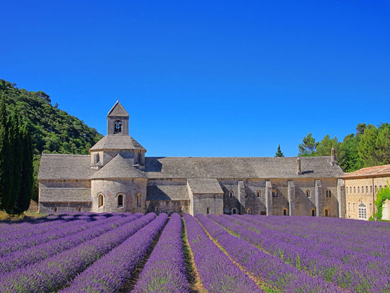 Appreciate the earthly beauty of Sénanque Abbey