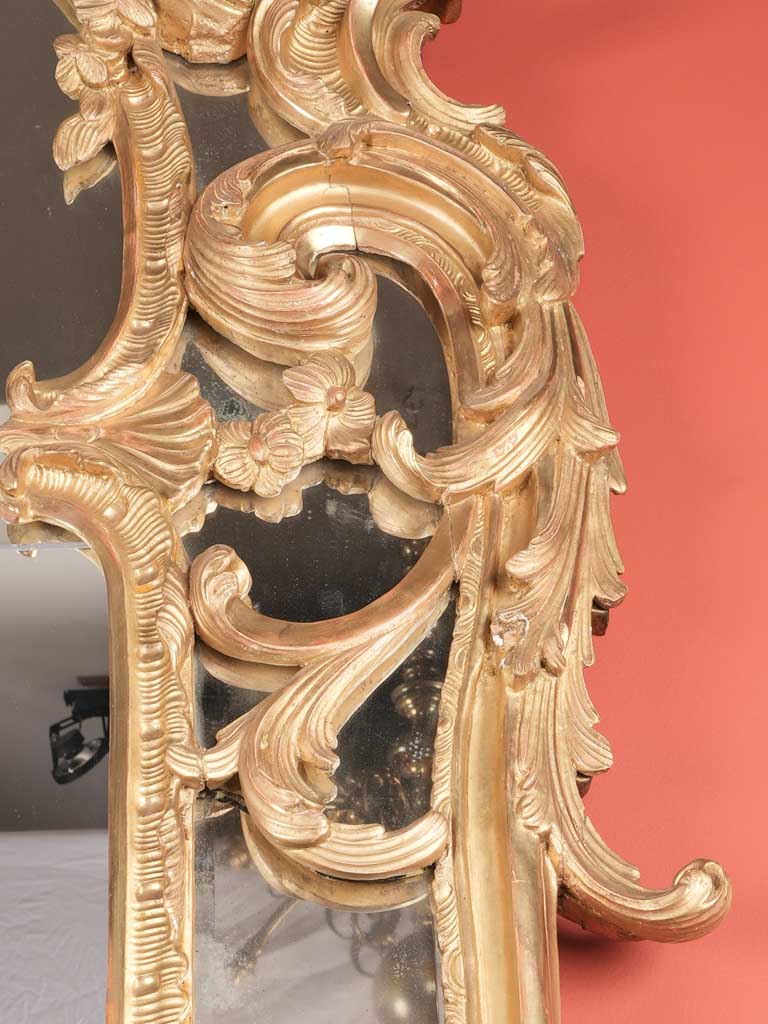 Lavish Natural Motif Wall Mirror