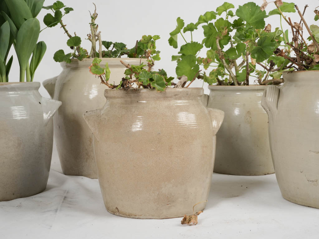 Charming French beige glaze crock pots