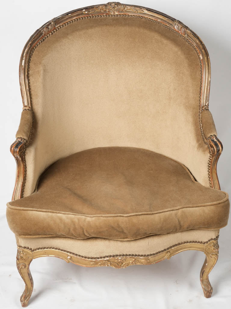 Luxurious taupe velour Louis XV chair