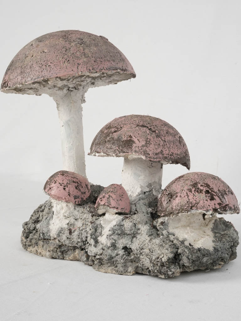 Delightful patina pink cap mushrooms