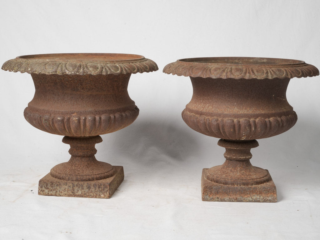 Late 19th-Century Cast Iron Medicis Planters w/ Rust Patina - 17¾"