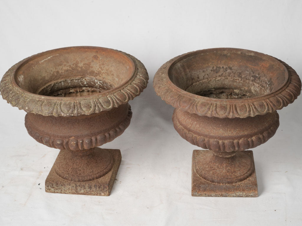 Late 19th-Century Cast Iron Medicis Planters w/ Rust Patina - 17¾"