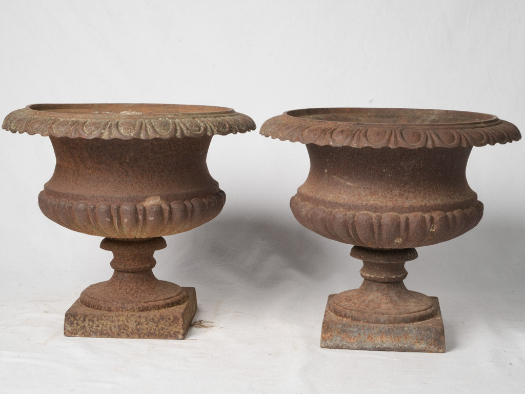 Late 19th-Century Cast Iron Medicis Planters w/ Rust Patina - 17¾"