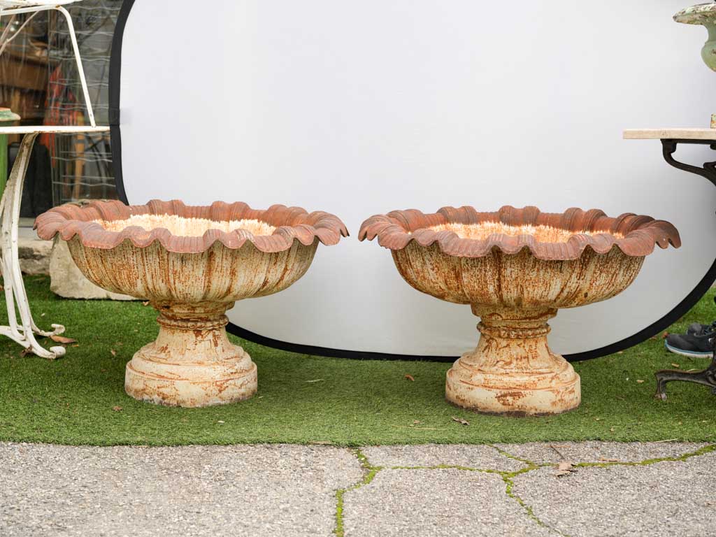 Pair of Large Vintage Cast Iron Planters w/ Flower Shape  - 20½"