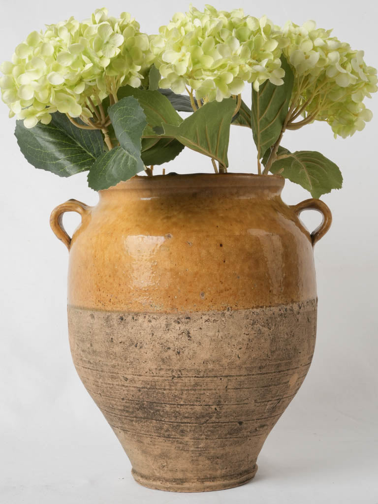 Charming southwest French demi glaze pot