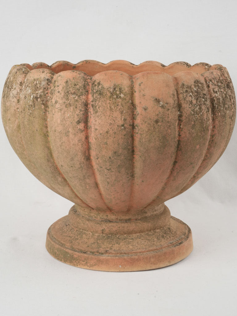 Vintage Italian terracotta footed planter