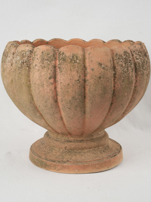 French Terracotta Pots - Set of 3 – The Warped Table