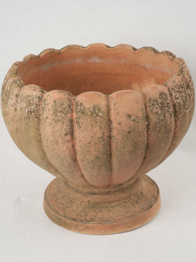 Rustic Italian flower planter pottery