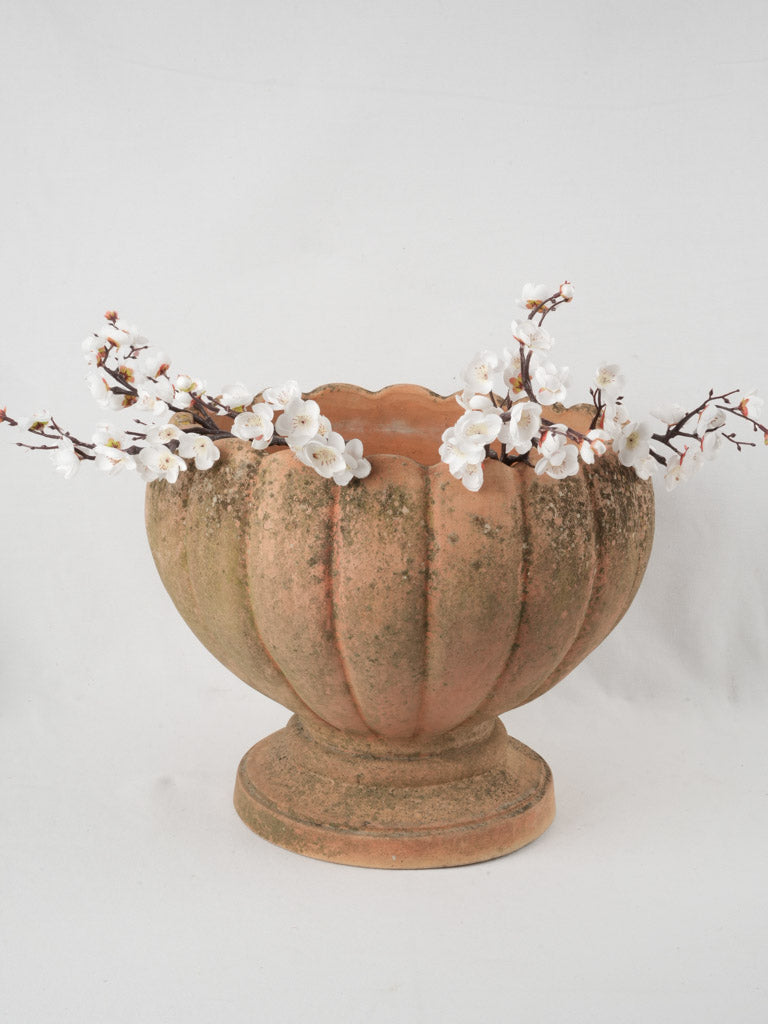 Scalloped antique garden flower pot