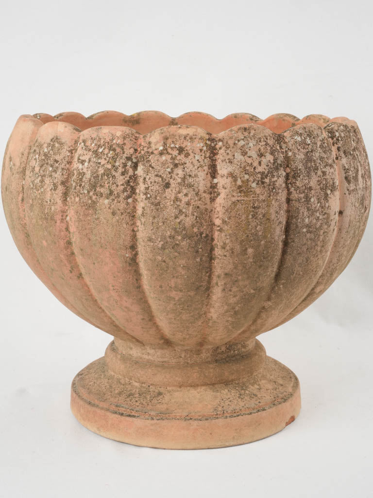 Aged Italian pumpkin-shaped terracotta pot