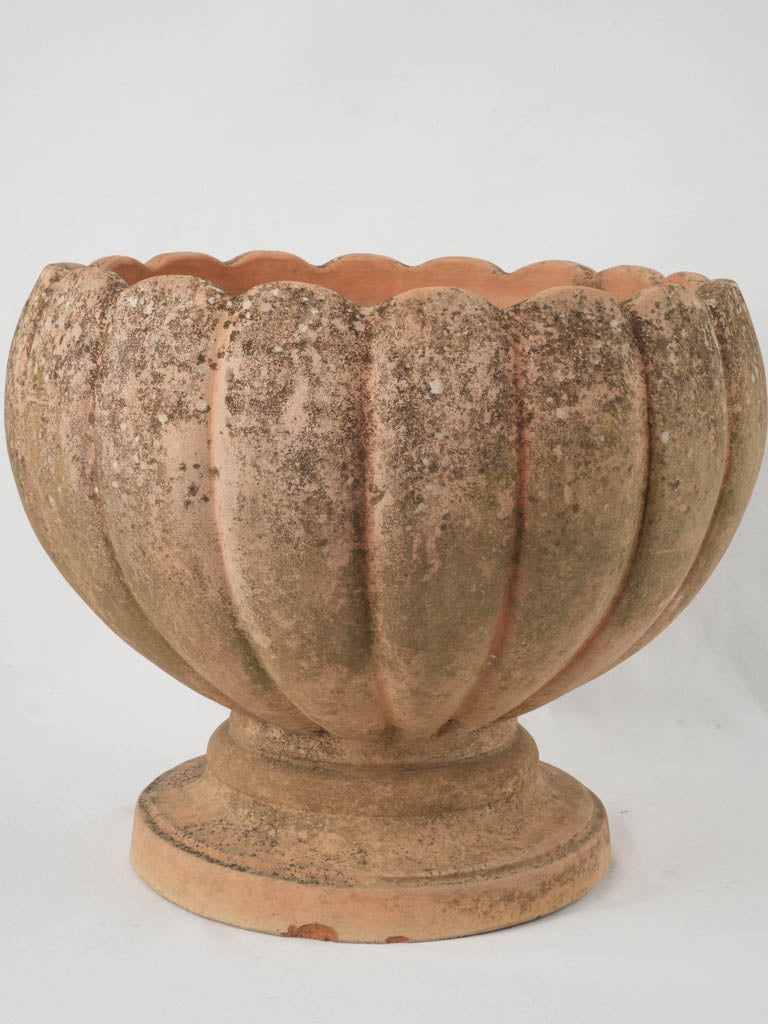 Weathered terracotta garden planter pot