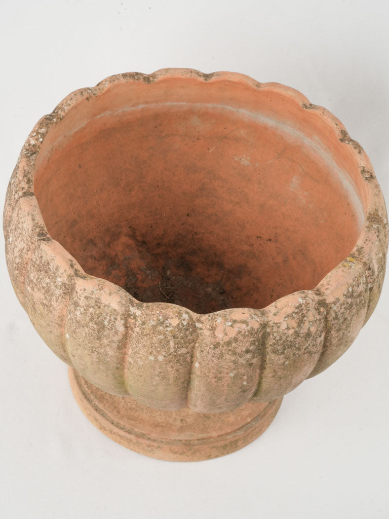 Distressed terracotta footed flower pot