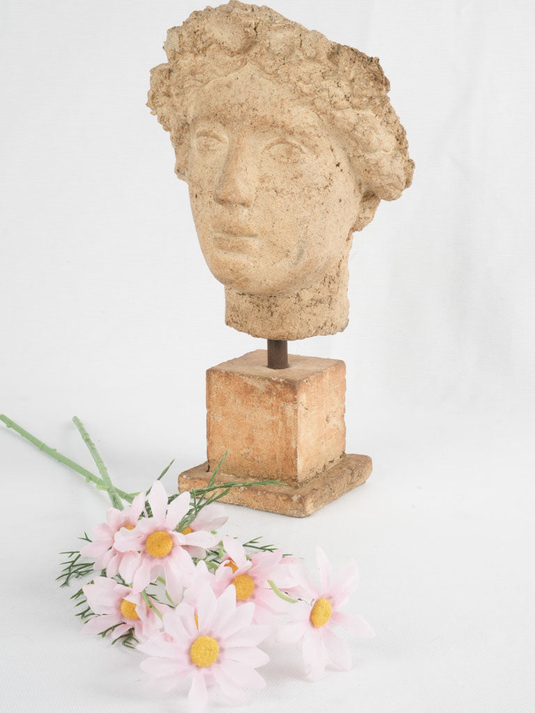 Terracotta bust of a classical figure 13½"