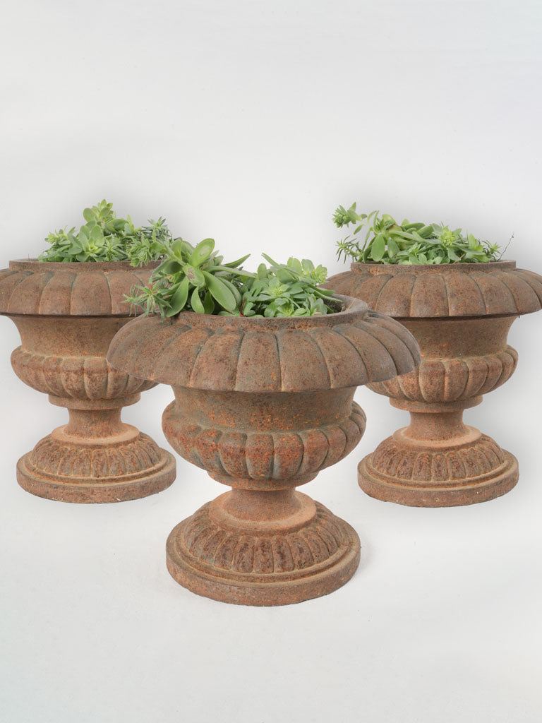 19th-Century French Cast Iron Medici Planters Set of Three 11¾"