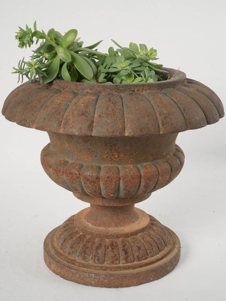 19th-Century French Cast Iron Medici Planters Set of Three 11¾"