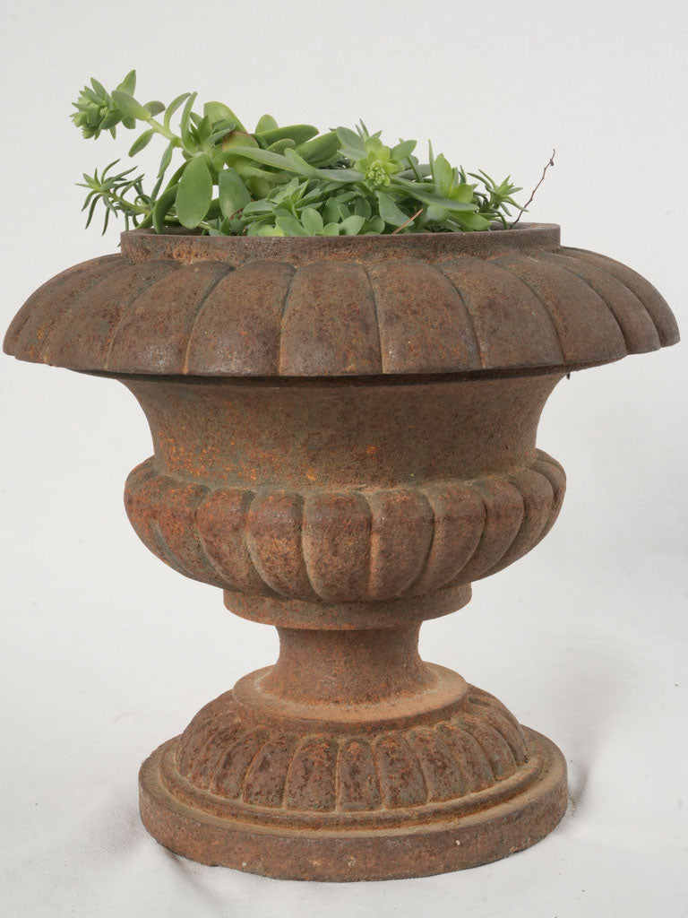 19th-Century French Cast Iron Medici Planters Set of Three 11¾"