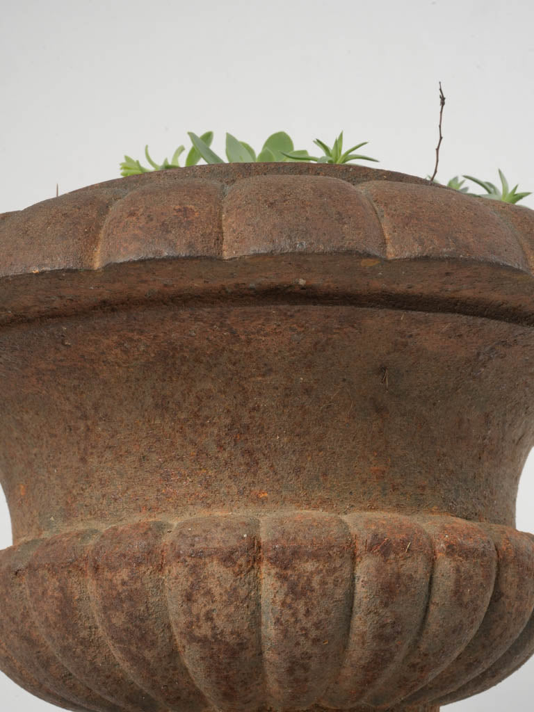 19th-Century French Cast Iron Medici Planters Set of Three 11¾"