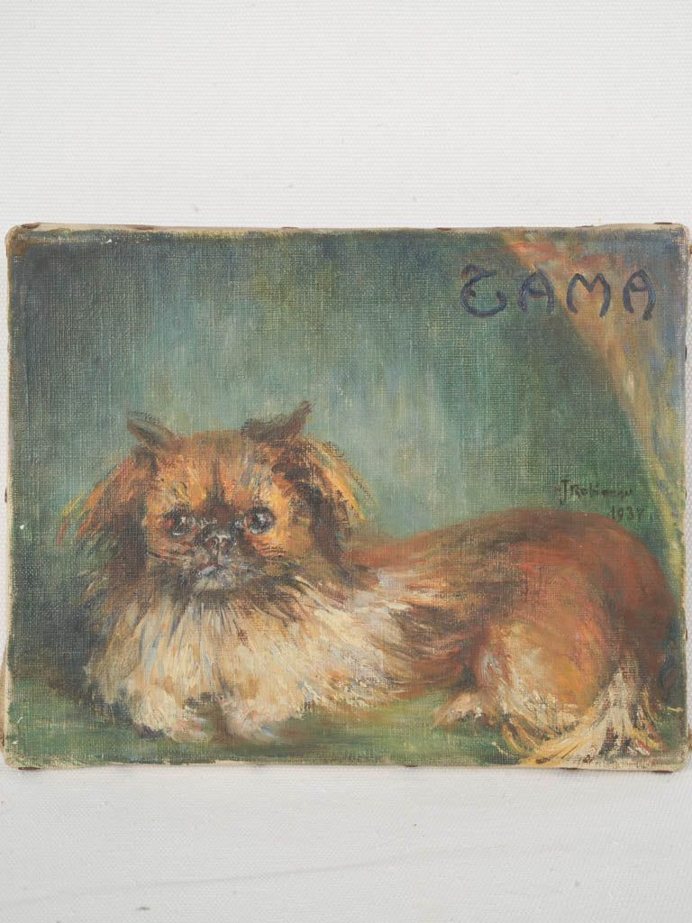 Oil Portrait of a Pekingese dog dated 1938 - 7½" x 9½"