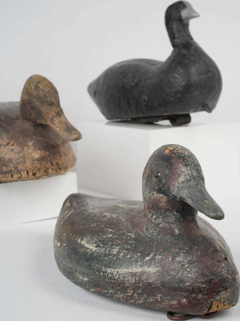 Weathered and Lifelike Duck Decoys