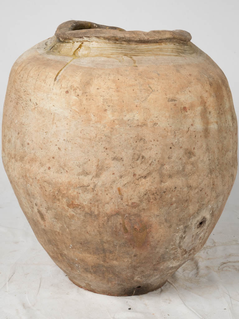 Mediterranean-style Fréjus terracotta olive jar