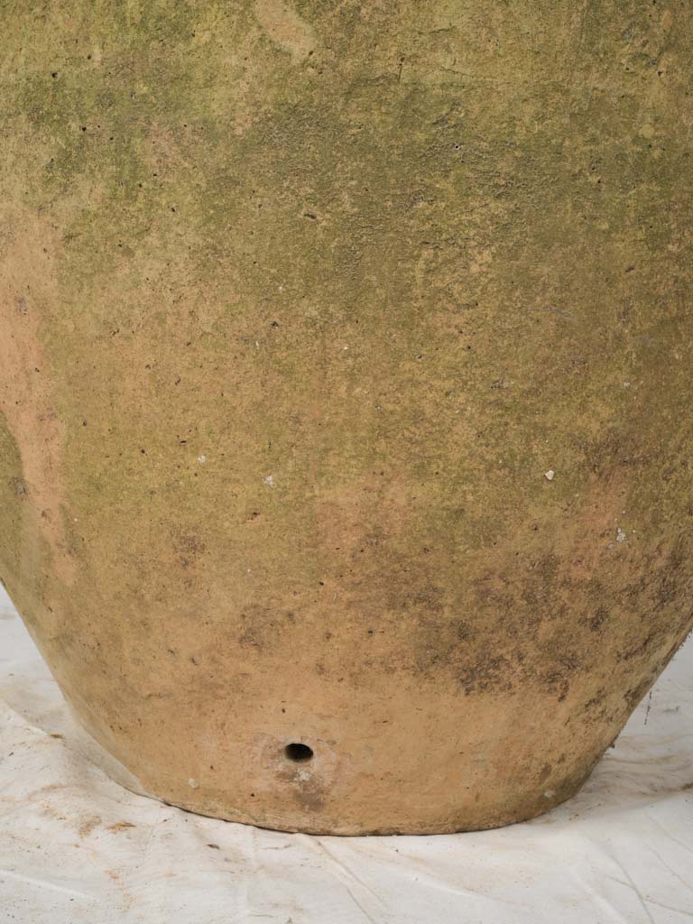 Rare Mediterranean Pottery Olive Oil Jar