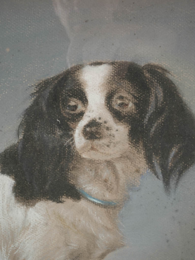 Unique, signed spaniel portrait