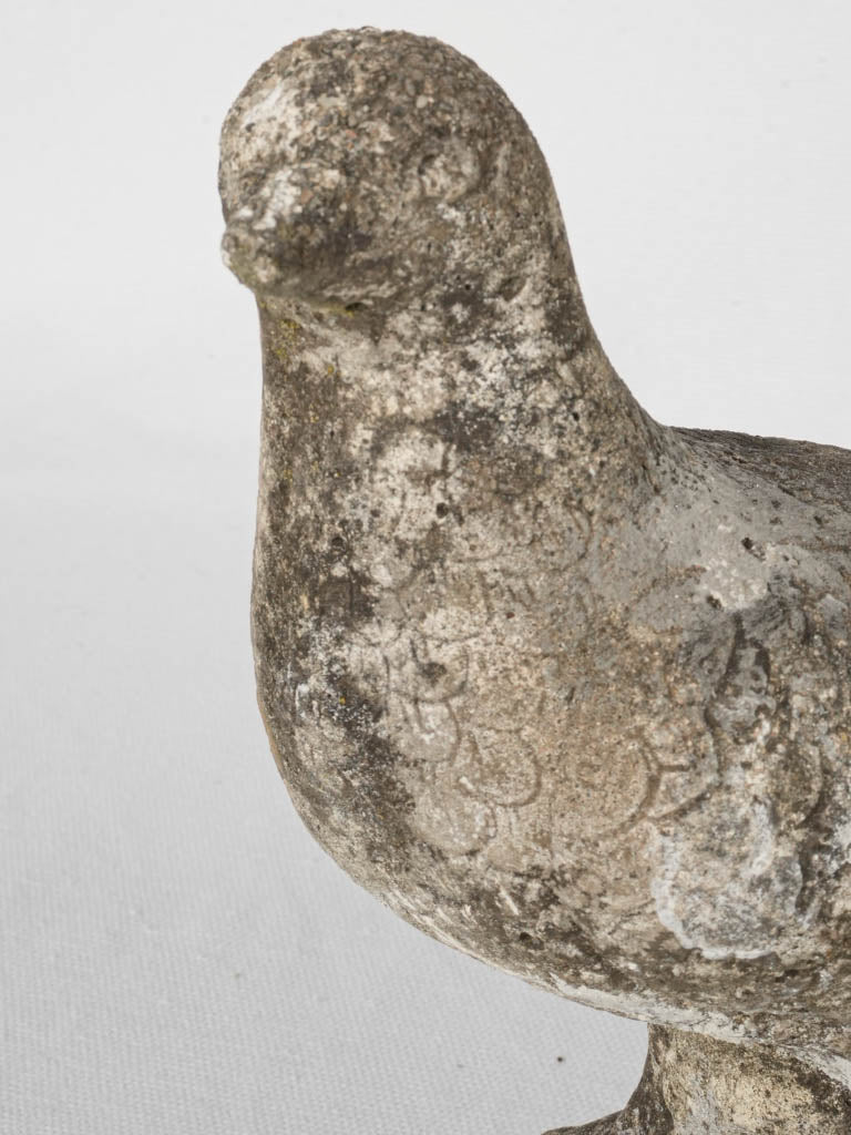 Weathered pigeon statue for garden