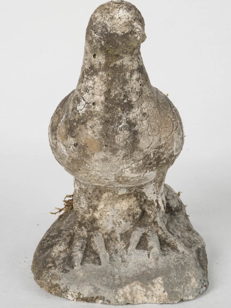 Rustic aged concrete dove statue