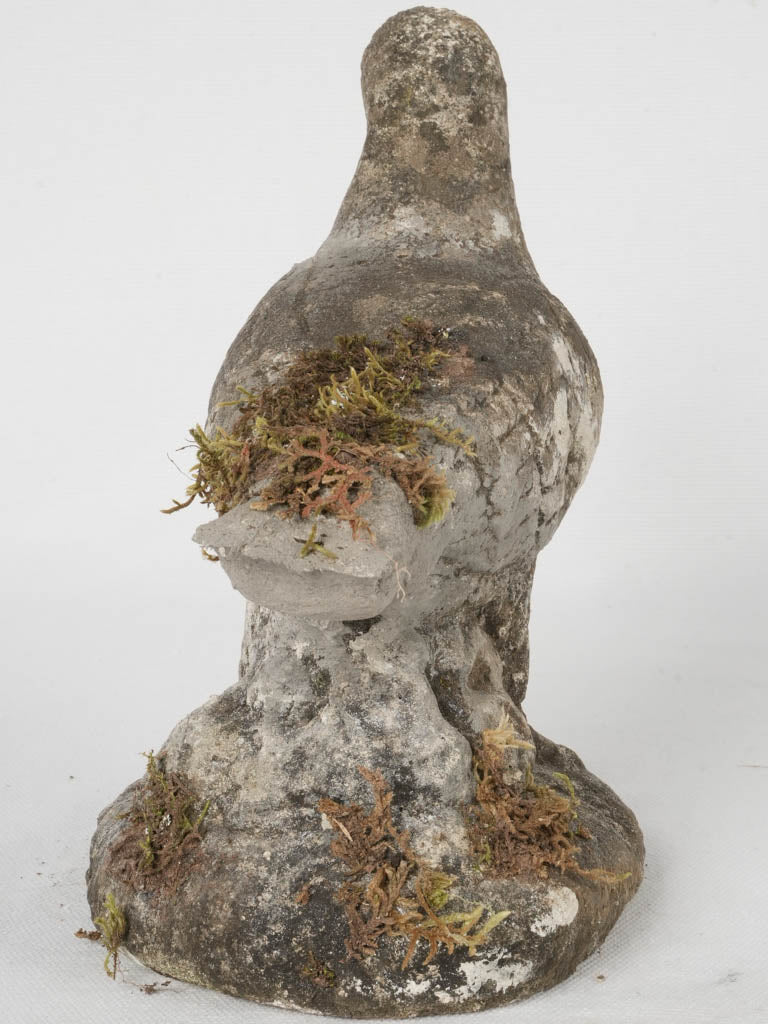 Timeworn pigeon outdoor ornament