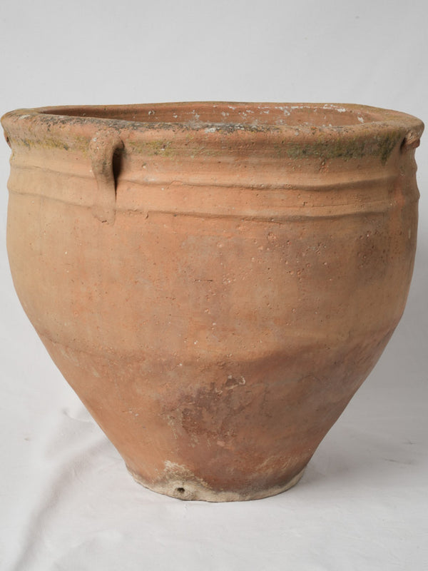 Large 19th-Century Italian Terracotta Pot