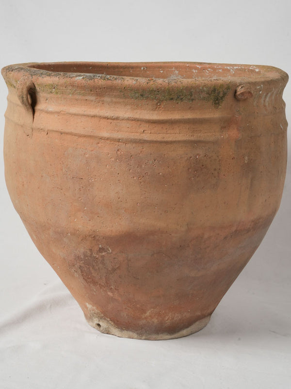 Large 19th-Century Italian Terracotta Pot