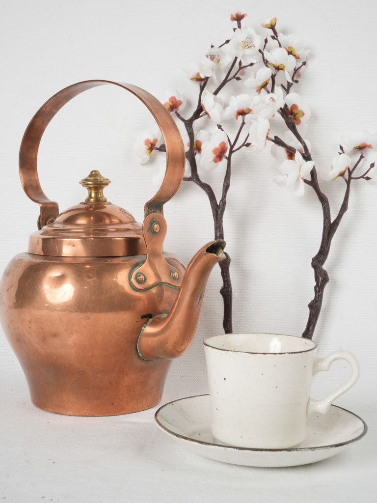 Delightful 19th-century French brass knob kettle