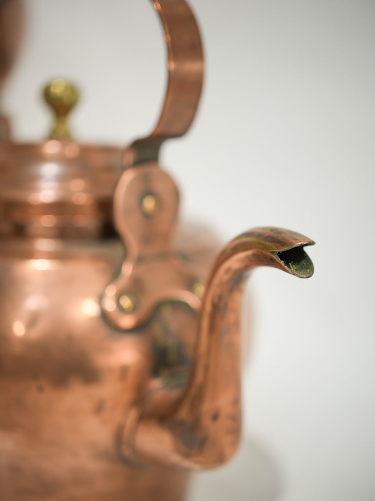 Elegant 19th-century copper bird beak kettle