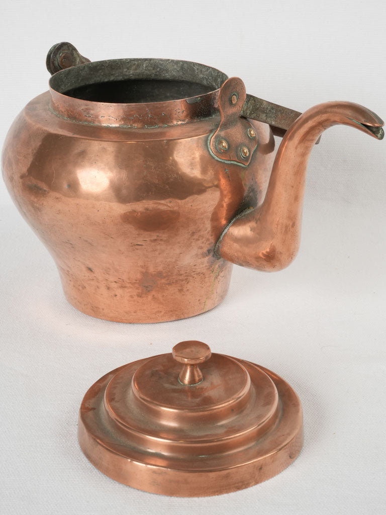 Charming Bird Spout Copper Kettle