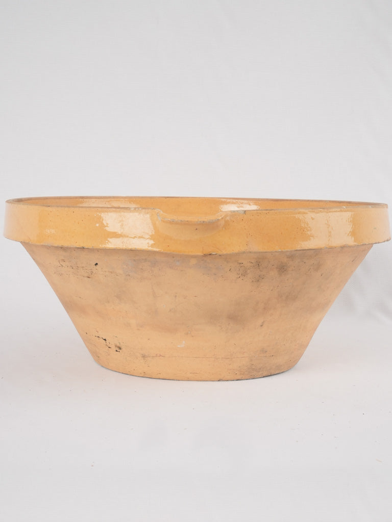 Sunny cheer-bringing ceramic salad bowl