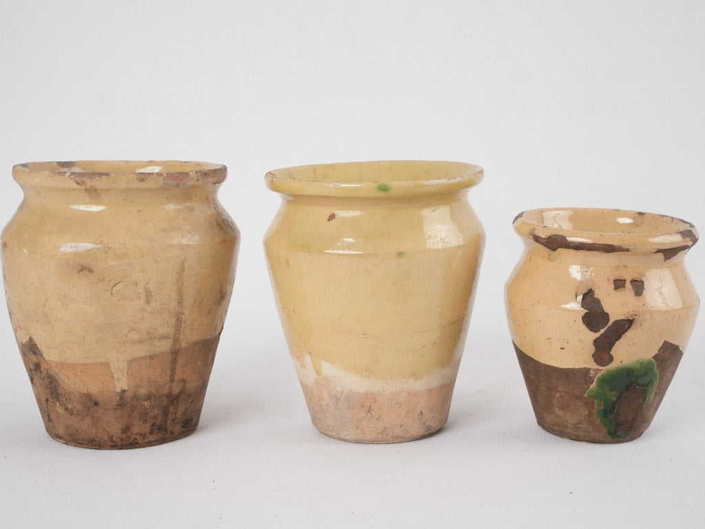 Charming pastoral style decor pots