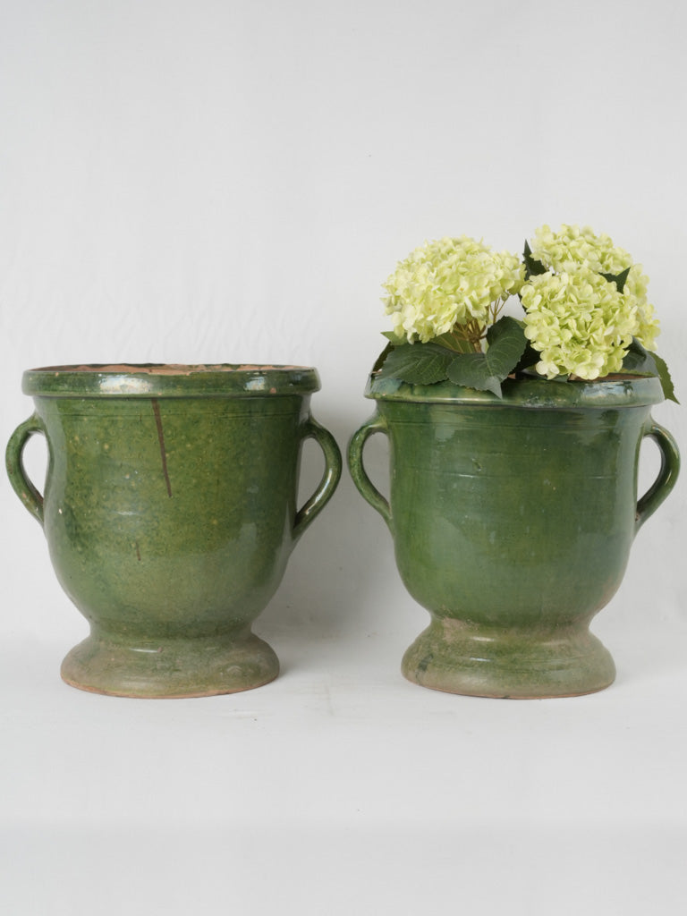 Vintage ornate citrus pot 