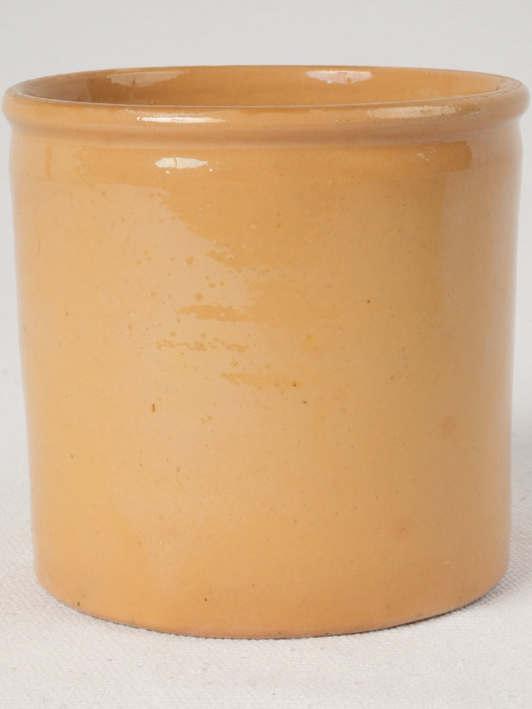 Naive-style yellow glazed plum jar