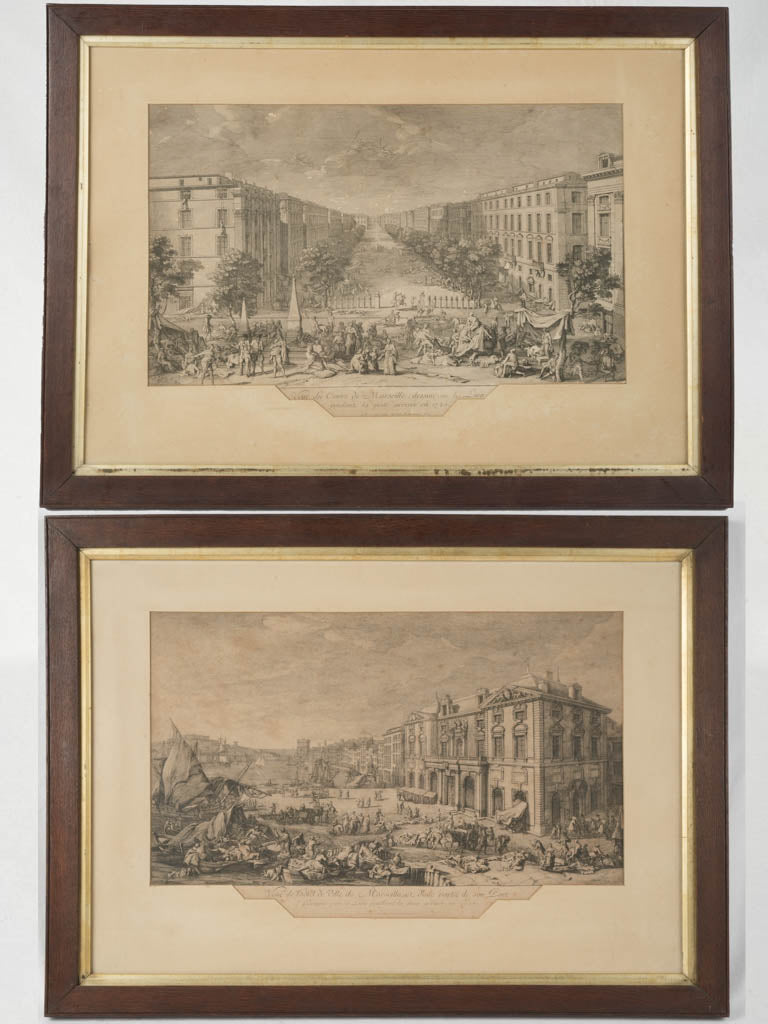 Antique detailed engravings depictions