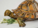 Classic French life-size tortoise statue