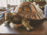 Charming vintage life-size tortoise statue