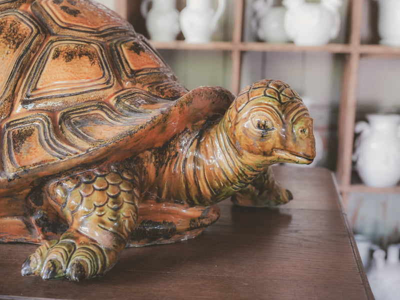 Traditional French terracotta tortoise sculpture