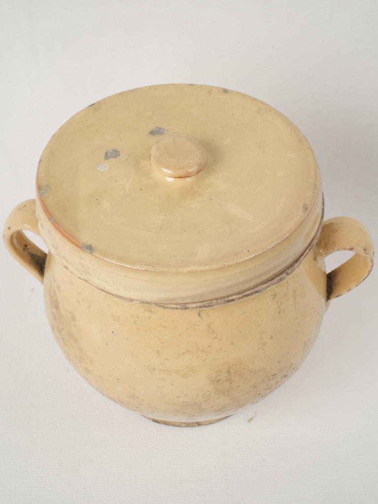 Charming sunny yellow glaze pot