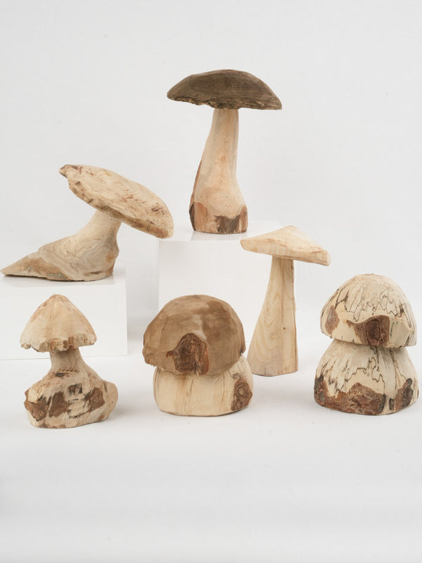 Collection of 6 Hand Carved Wooden Mushrooms from Brittany