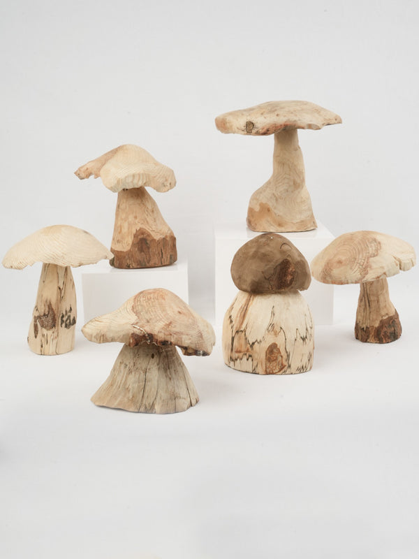 Collection of 6 Hand Carved Wooden Mushrooms from Brittany