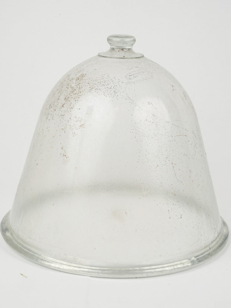 Antique French dome glass cloche